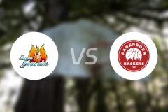 哈根vs帕德博恩比分预测【2025/12/21】