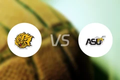 阿肯色大学派恩布拉夫分校vs阿拉巴马州立大学比分预测【2026/02/15】