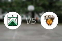 费罗卡利vs帕兰德森比分预测【2026/01/23】