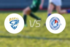 布雷西亚U19vs白化莱夫青年队比分预测【2026/01/17】