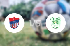 尼格德vs宾高尔比分预测【2026/03/29】