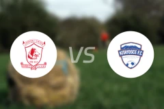 海岸联vs塔博拉联比分预测【2026/02/02】