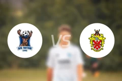 托顿vs侯恩乔奇比分预测【2026/02/21】