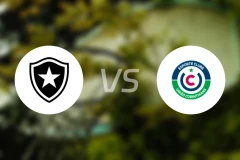 博塔弗戈vs尤尼奥科林蒂安比分预测【2025/12/14】