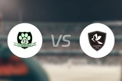 猎犬队vs布鲁诺斯喜鹊比分预测【2026/01/18】