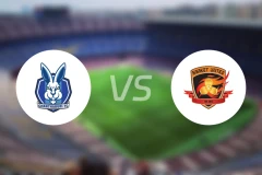 庄他武里vs四色菊联比分预测【2025/11/29】