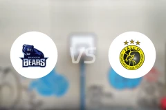 巴根熊vs法尔科比分预测【2025/11/12】