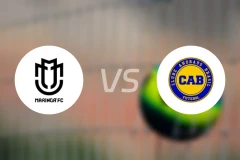 马林加vs安德拉斯巴西亚比分预测【2026/01/25】