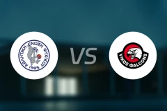 皮斯奇科vs维科斯比分预测【2025/11/02】