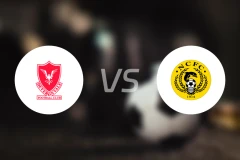 戴瓦隆维立vs奈恩郡比分预测【2025/11/29】