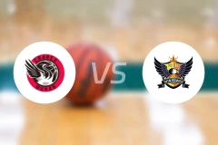 武汉盛帆黄鹤女篮vs石家庄英励女篮比分预测【2026/01/09】