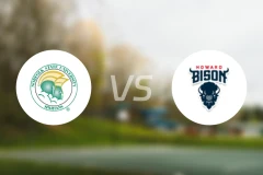 诺佛克州立大学vs霍华德大学比分预测【2026/02/01】