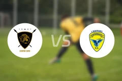 勒鲁莫狮子vs海布里比分预测【2026/04/25】