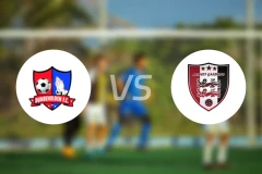 敦伯霍登vs阿内特加登斯比分预测【2026/02/13】