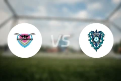 鸟栖砂岩vs福冈黄蜂比分预测【2024/09/28】