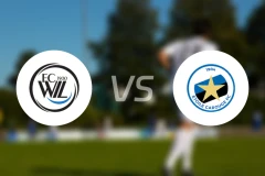 韦尔vs卡洛治比分预测【2026/03/22】