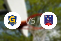 格林达维克vs阿佛坦斯比分预测【2026/01/17】