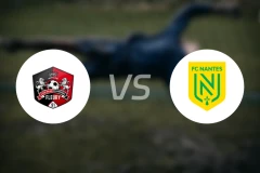 弗勒里91女足vs南特女足比分预测【2025/11/23】