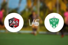 弗勒里91女足vs圣埃蒂安女足比分预测【2025/12/14】