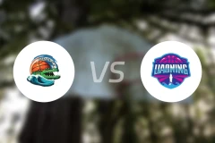 合肥文旅女篮vs大连文体旅女篮比分预测【2026/01/20】