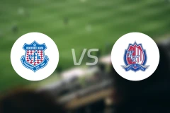 甲府风林vs富山胜利比分预测【2025/11/23】