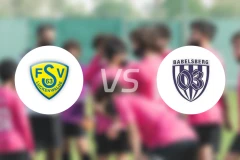 路肯瓦德vs巴贝尔斯贝格03比分预测【2025/10/25】