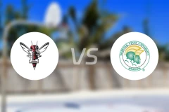 林奇堡大学vs诺佛克州立大学比分预测【2025/11/26】