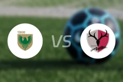 东京绿茵vs鹿岛鹿角比分预测【2025/11/30】