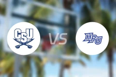 南查理斯顿大学vs海波因特大学比分预测【2026/02/05】