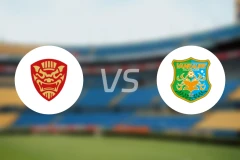 FC琉球冲绳vs八户于南乡比分预测【2025/11/29】