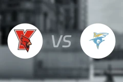 约克大学vs长岛大学比分预测【2024/12/05】