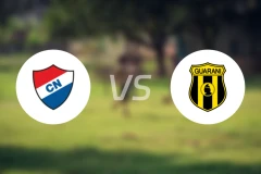 巴拉圭民族vs亚松森瓜拉尼比分结果战报【2024/11/30】