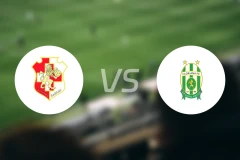 纳沙尔狮队vs弗洛里亚纳比分预测【2026/04/11】