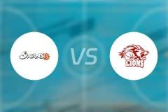 葛姆登天鹅vs雄狮比分预测【2026/01/19】