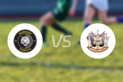 沃克索谱镇vs南希尔兹比分预测【2025/11/26】