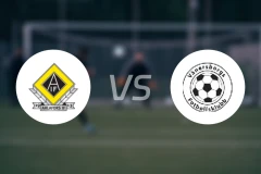 阿拉佛斯vs维纳什堡比分预测【2026/04/11】