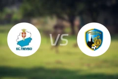 特雷维索vs阿尔塔维拉比分预测【2025/11/23】