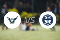 鸟取飞翔vs鹿儿岛联比分预测【2026/03/22】