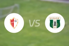 萨沃亚vs维哥雷兹亚比分预测【2025/11/30】