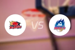 岩手大公牛vs青森热力比分预测【2026/02/14】