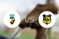 法鲁人vs路西塔尼亚比分结果战报【2026/03/01】