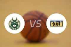 威斯康星牧群vs大急流城黄金比分预测【2024/12/06】