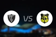 维塞乌vs路西塔尼亚比分预测【2025/11/05】