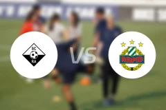 阿尔塔奇vs维也纳快速比分结果战报【2026/03/02】