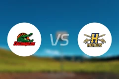 德里洛斯vs猎鹰英雄比分预测【2026/03/22】