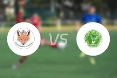 施塔德勒纳尔vs彭特靴尔比分预测【2026/03/15】