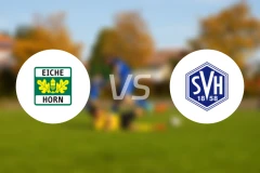 艾希霍恩vsSV赫梅林根比分预测【2025/11/16】