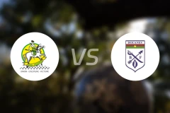 ASFA叶尼加vsAS瓦加杜古比分预测【2026/03/22】