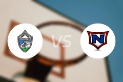 哈马尔女篮vs拿尔维克女篮比分预测【2026/01/28】