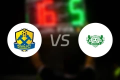 木祖城锤vs元素比分预测【2025/11/23】